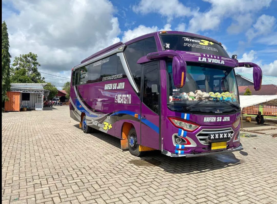 Bus Pariwisata